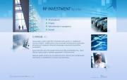 Onyx - zrealizowane projekty :: RP Investment - witryna internetowa
